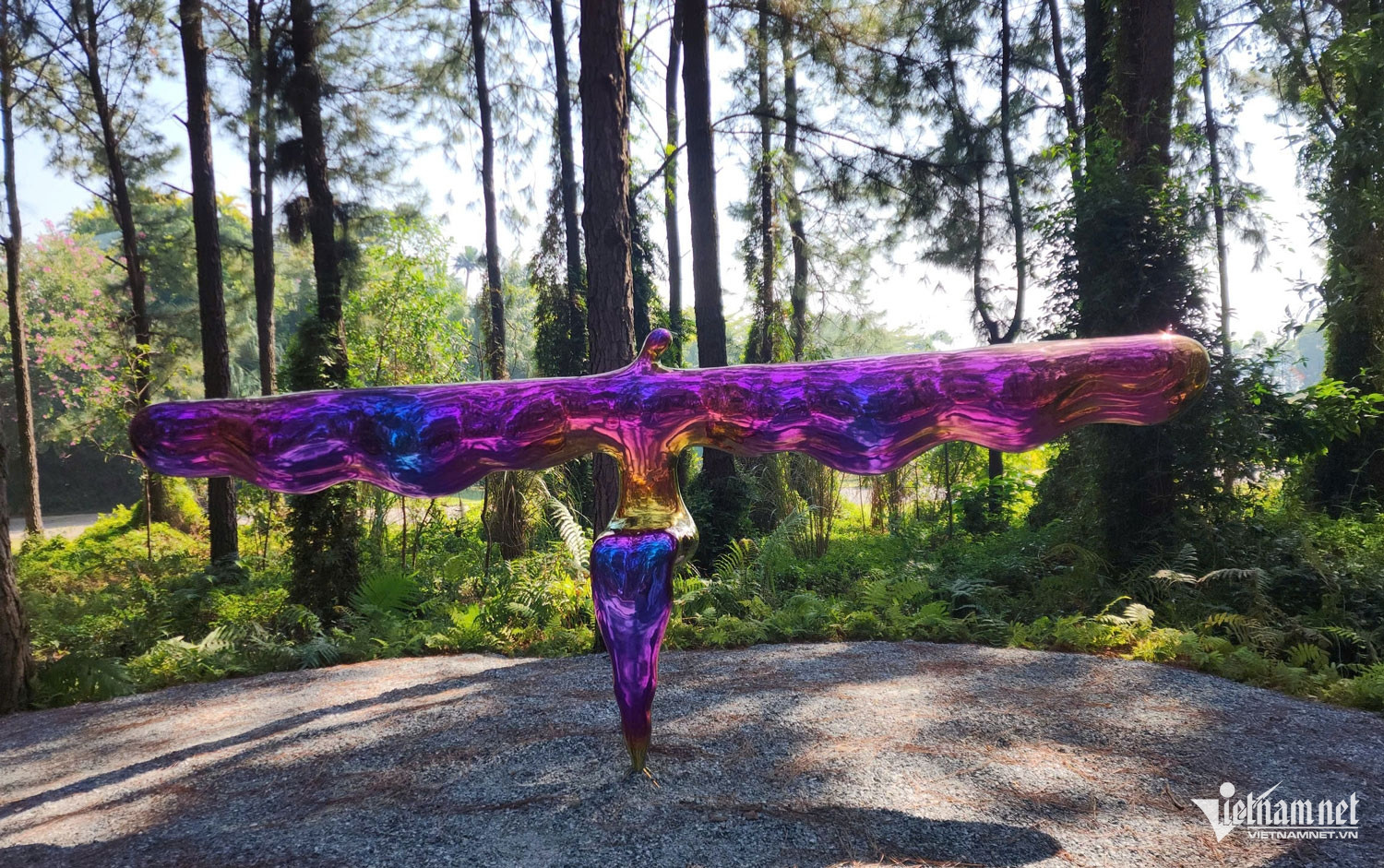 Không gian nghệ thuật trong rừng hiếm hoi tại Việt Nam